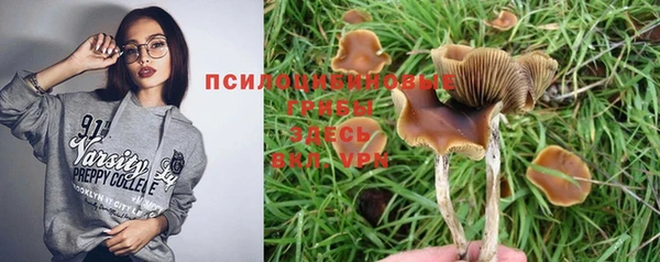 а пвп мука Покров