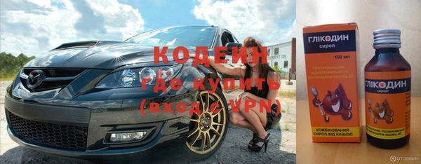 индика Покачи